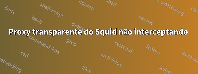 Proxy transparente do Squid não interceptando