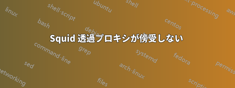 Squid 透過プロキシが傍受しない