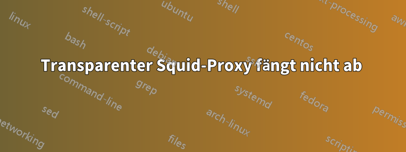 Transparenter Squid-Proxy fängt nicht ab