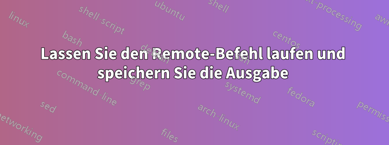 Lassen Sie den Remote-Befehl laufen und speichern Sie die Ausgabe