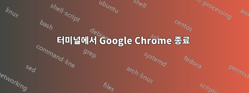 터미널에서 Google Chrome 종료