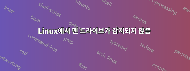 Linux에서 펜 드라이브가 감지되지 않음