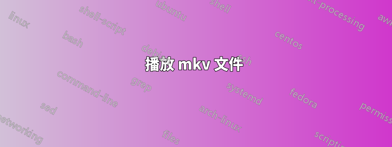播放 mkv 文件