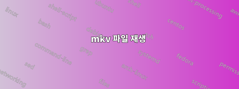 mkv 파일 재생