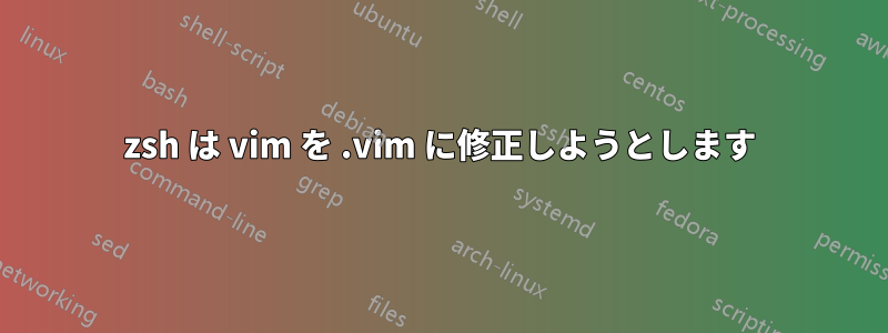 zsh は vim を .vim に修正しようとします