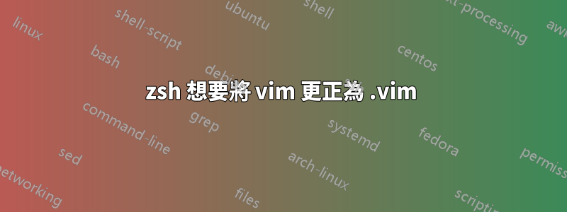 zsh 想要將 vim 更正為 .vim