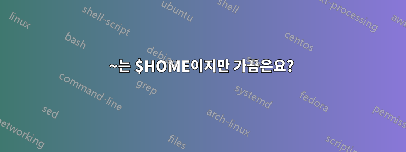 ~는 $HOME이지만 가끔은요?