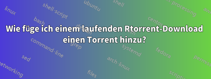Wie füge ich einem laufenden Rtorrent-Download einen Torrent hinzu?