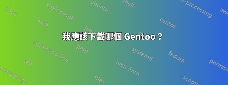 我應該下載哪個 Gentoo？