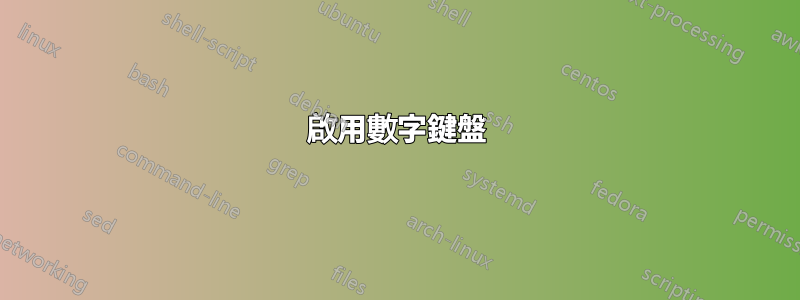 啟用數字鍵盤