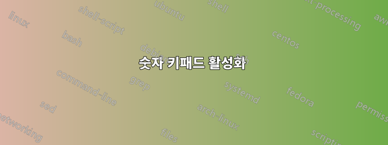 숫자 키패드 활성화