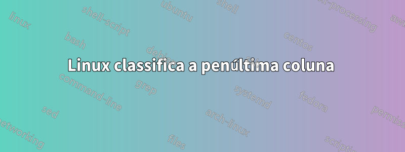 Linux classifica a penúltima coluna