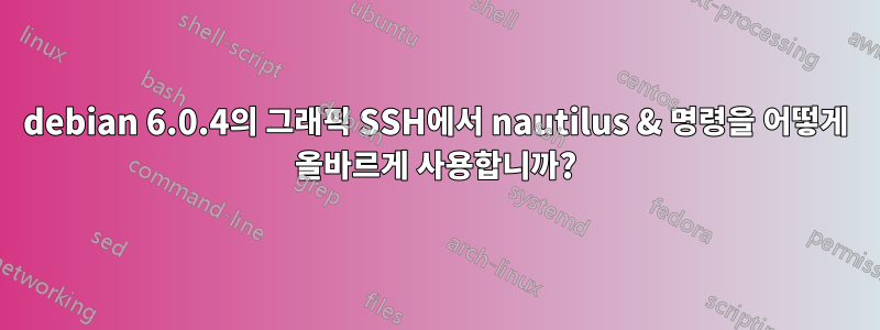 debian 6.0.4의 그래픽 SSH에서 nautilus & 명령을 어떻게 올바르게 사용합니까?