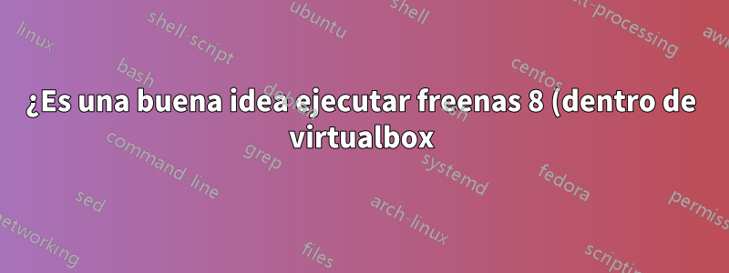 ¿Es una buena idea ejecutar freenas 8 (dentro de virtualbox) en un servidor lamp?