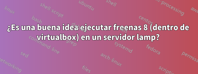 ¿Es una buena idea ejecutar freenas 8 (dentro de virtualbox) en un servidor lamp?