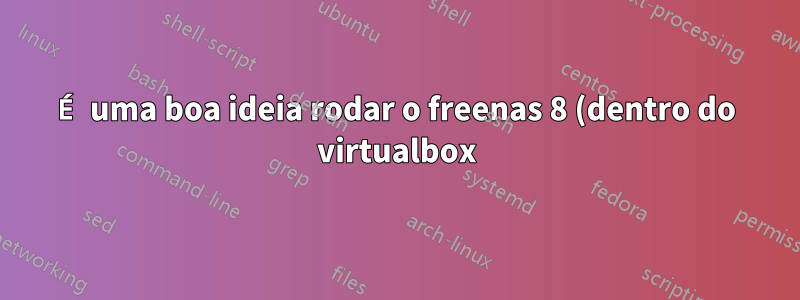 É uma boa ideia rodar o freenas 8 (dentro do virtualbox) em um servidor lamp?
