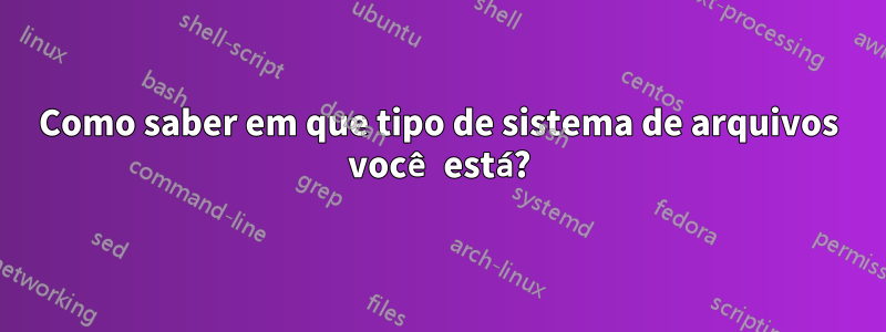 Como saber em que tipo de sistema de arquivos você está?