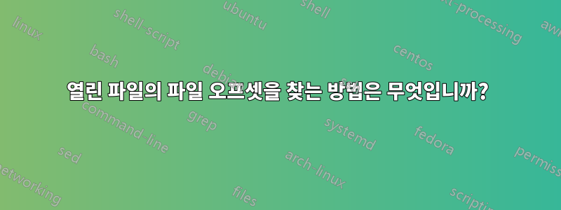 열린 파일의 파일 오프셋을 찾는 방법은 무엇입니까?