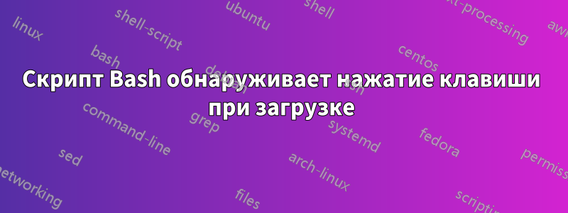 Скрипт Bash обнаруживает нажатие клавиши при загрузке