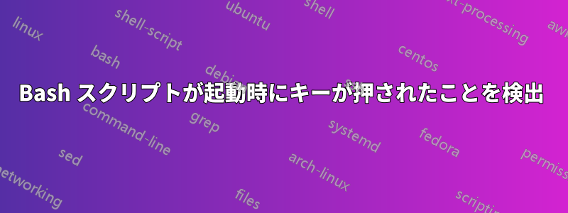 Bash スクリプトが起動時にキーが押されたことを検出