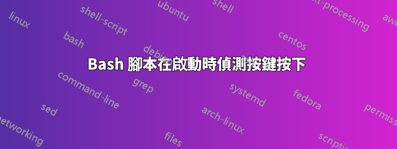 Bash 腳本在啟動時偵測按鍵按下