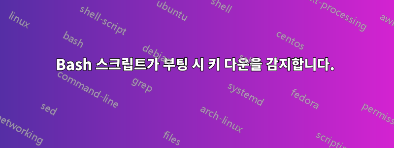 Bash 스크립트가 부팅 시 키 다운을 감지합니다.