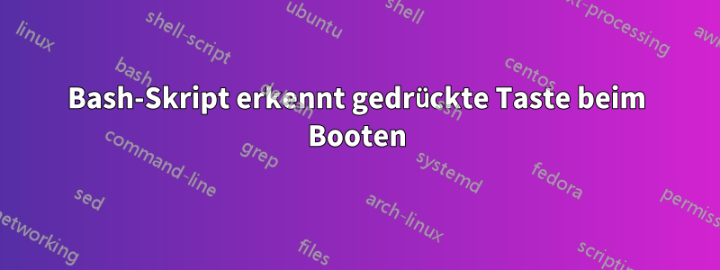 Bash-Skript erkennt gedrückte Taste beim Booten