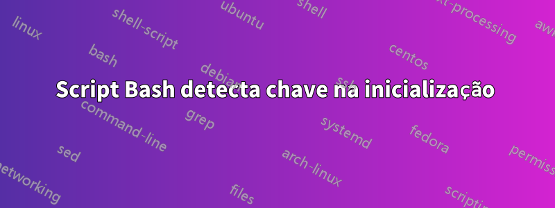 Script Bash detecta chave na inicialização