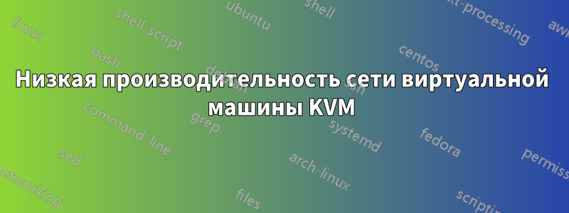 Низкая производительность сети виртуальной машины KVM