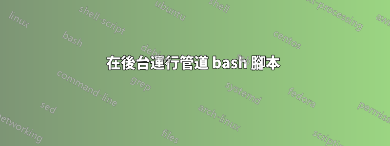 在後台運行管道 bash 腳本