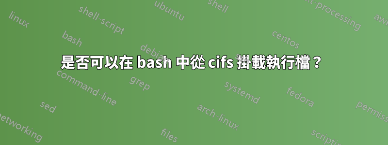 是否可以在 bash 中從 cifs 掛載執行檔？