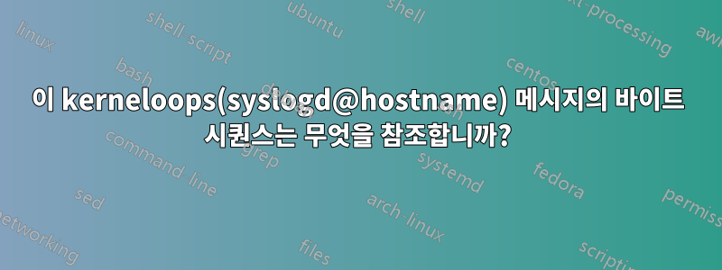 이 kerneloops(syslogd@hostname) 메시지의 바이트 시퀀스는 무엇을 참조합니까?