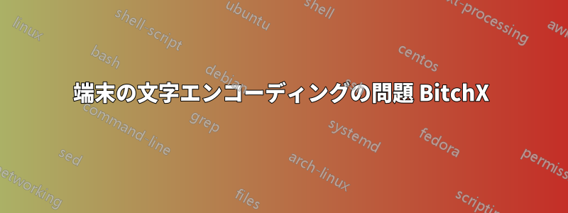 端末の文字エンコーディングの問題 BitchX