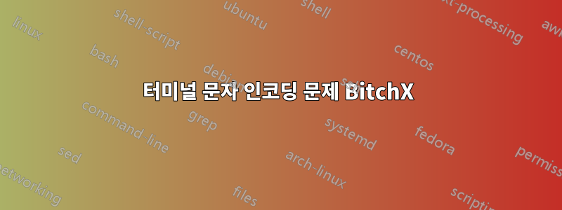 터미널 문자 인코딩 문제 BitchX