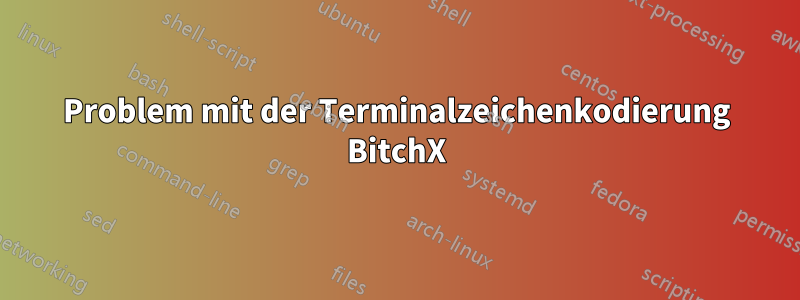 Problem mit der Terminalzeichenkodierung BitchX