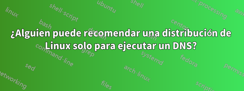 ¿Alguien puede recomendar una distribución de Linux solo para ejecutar un DNS?