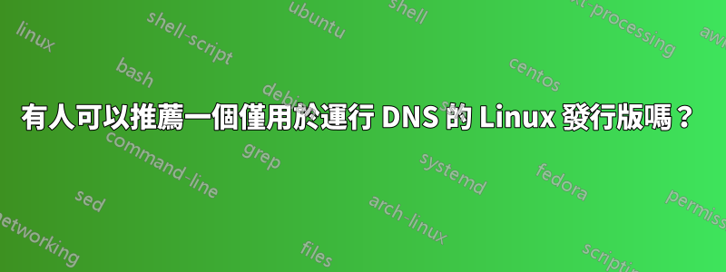 有人可以推薦一個僅用於運行 DNS 的 Linux 發行版嗎？