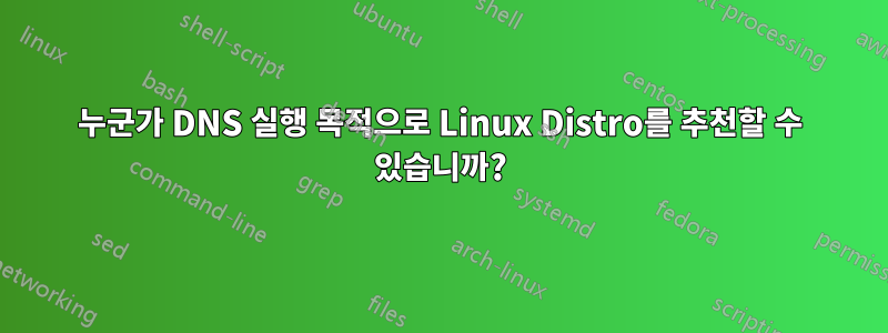 누군가 DNS 실행 목적으로 Linux Distro를 추천할 수 있습니까?