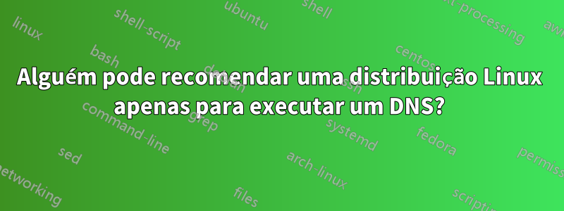 Alguém pode recomendar uma distribuição Linux apenas para executar um DNS?