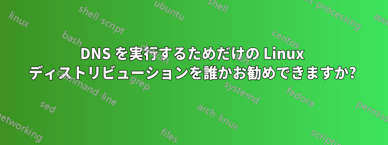 DNS を実行するためだけの Linux ディストリビューションを誰かお勧めできますか?