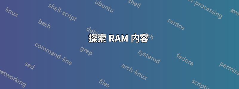 探索 RAM 內容