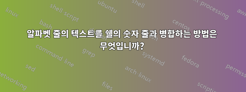 알파벳 줄의 텍스트를 쉘의 숫자 줄과 병합하는 방법은 무엇입니까?