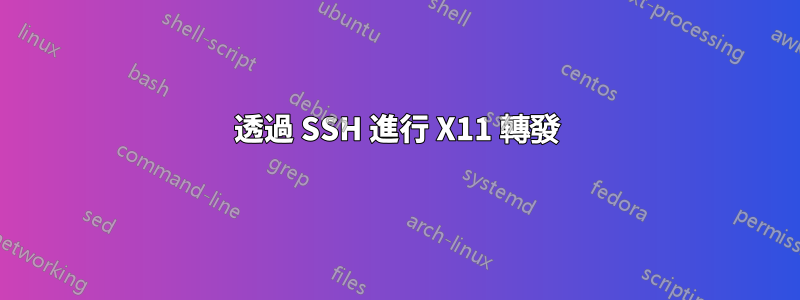 透過 SSH 進行 X11 轉發