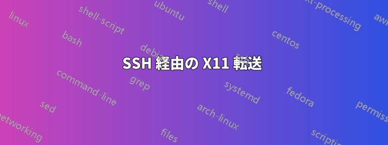 SSH 経由の X11 転送