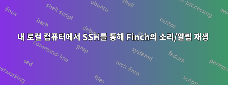 내 로컬 컴퓨터에서 SSH를 통해 Finch의 소리/알림 재생