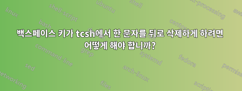 백스페이스 키가 tcsh에서 한 문자를 뒤로 삭제하게 하려면 어떻게 해야 합니까?