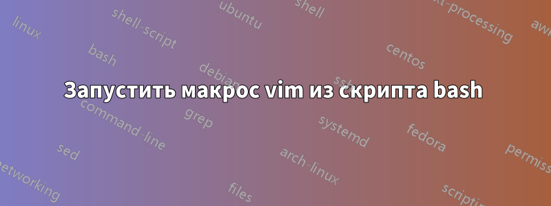 Запустить макрос vim из скрипта bash