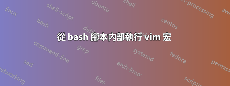 從 bash 腳本內部執行 vim 宏