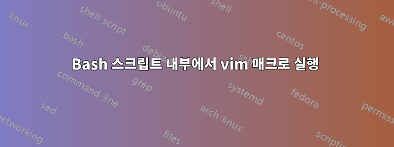 Bash 스크립트 내부에서 vim 매크로 실행