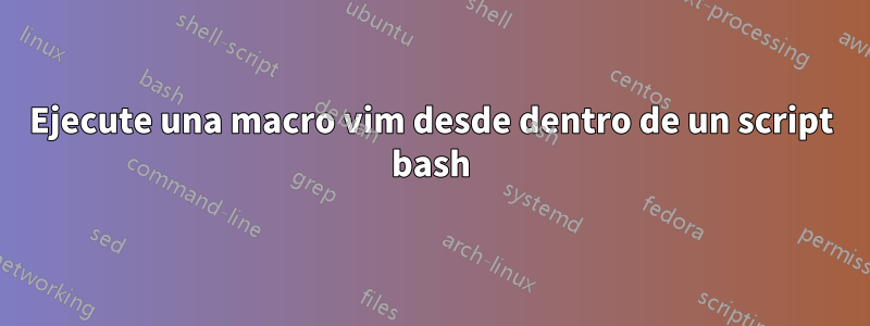 Ejecute una macro vim desde dentro de un script bash